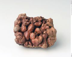 Foto von Calcit (Fasriger Kalksinter, "Sprudelstein") (NHMW-MIN-Ab545)